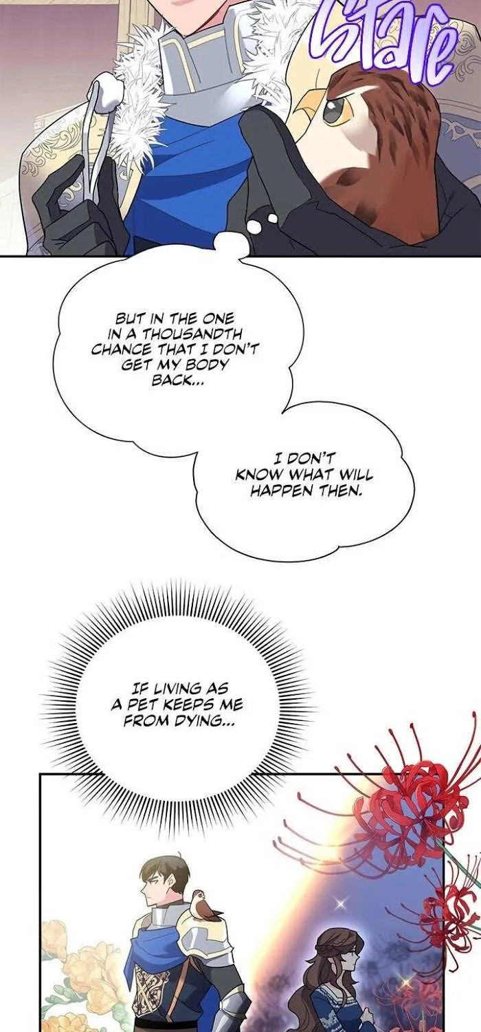 Read CARRIER FALCON PRINCESS chapter 20 image 22 on Lezhin