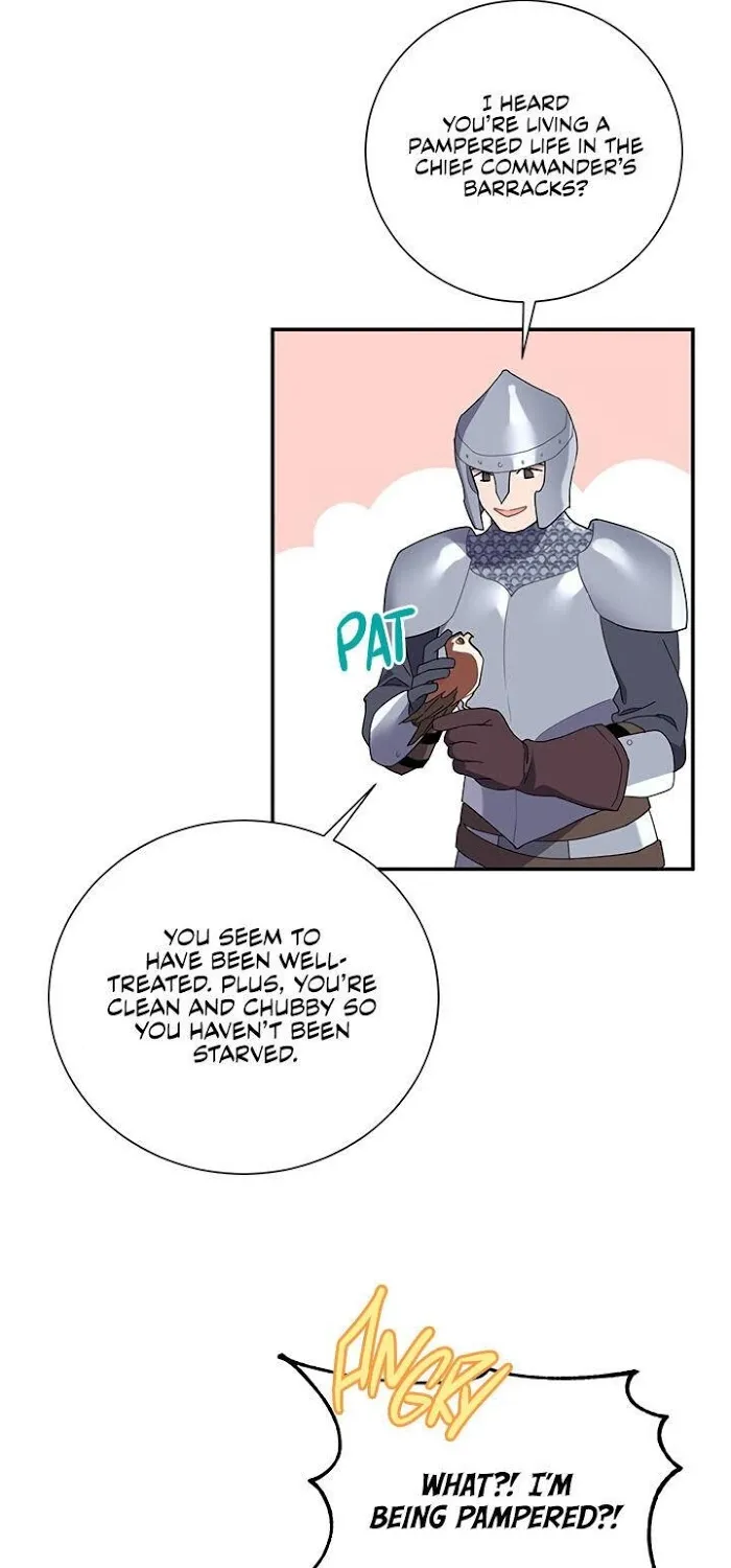 Read CARRIER FALCON PRINCESS chapter 20 image 5 on Lezhin