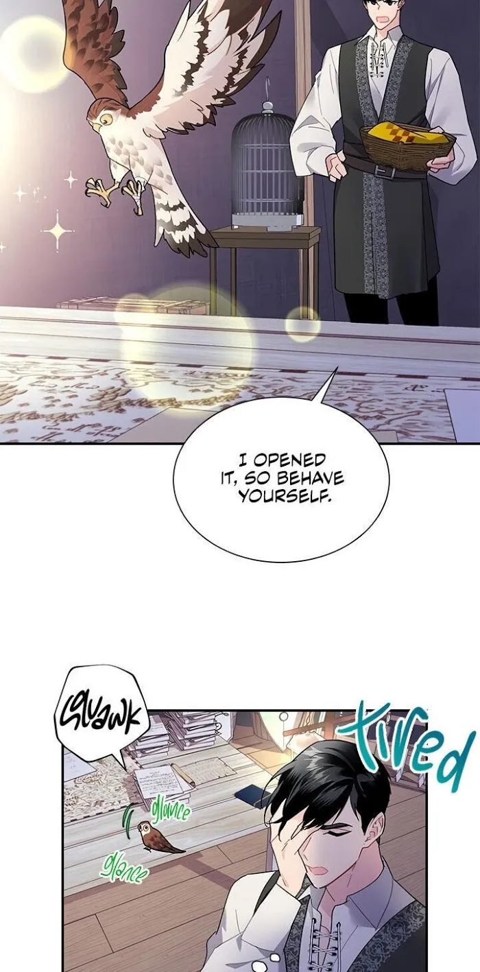 Read CARRIER FALCON PRINCESS chapter 21 image 3 on Lezhin