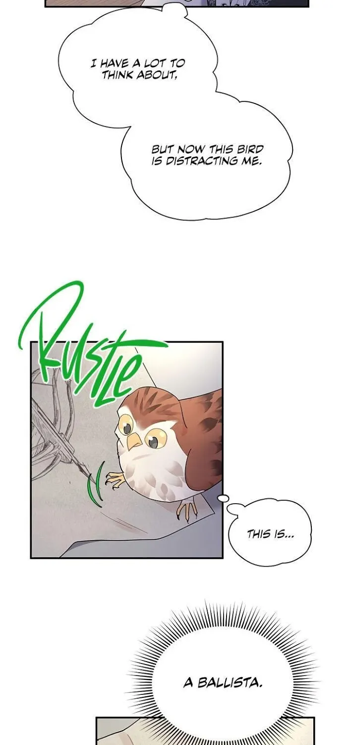 Read CARRIER FALCON PRINCESS chapter 21 image 4 on Lezhin