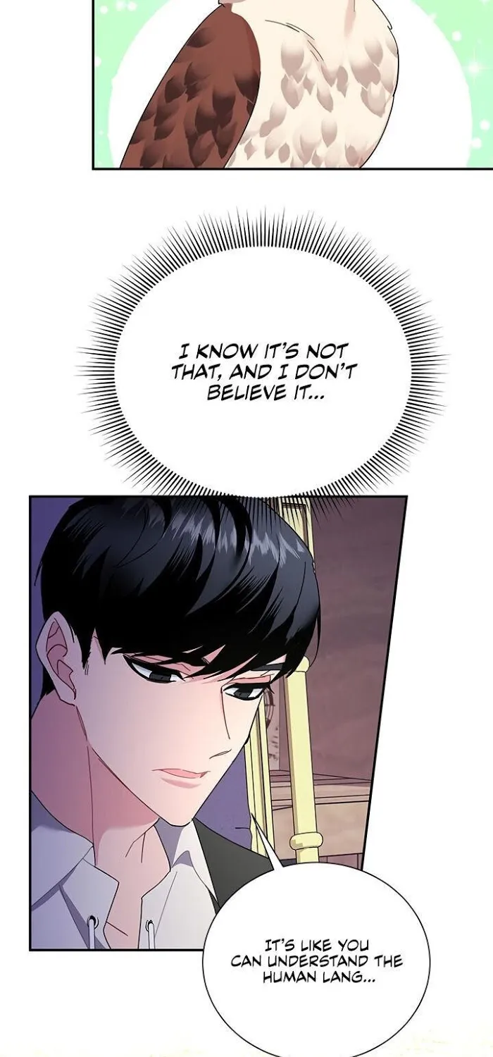 Read CARRIER FALCON PRINCESS chapter 21 image 62 on Lezhin