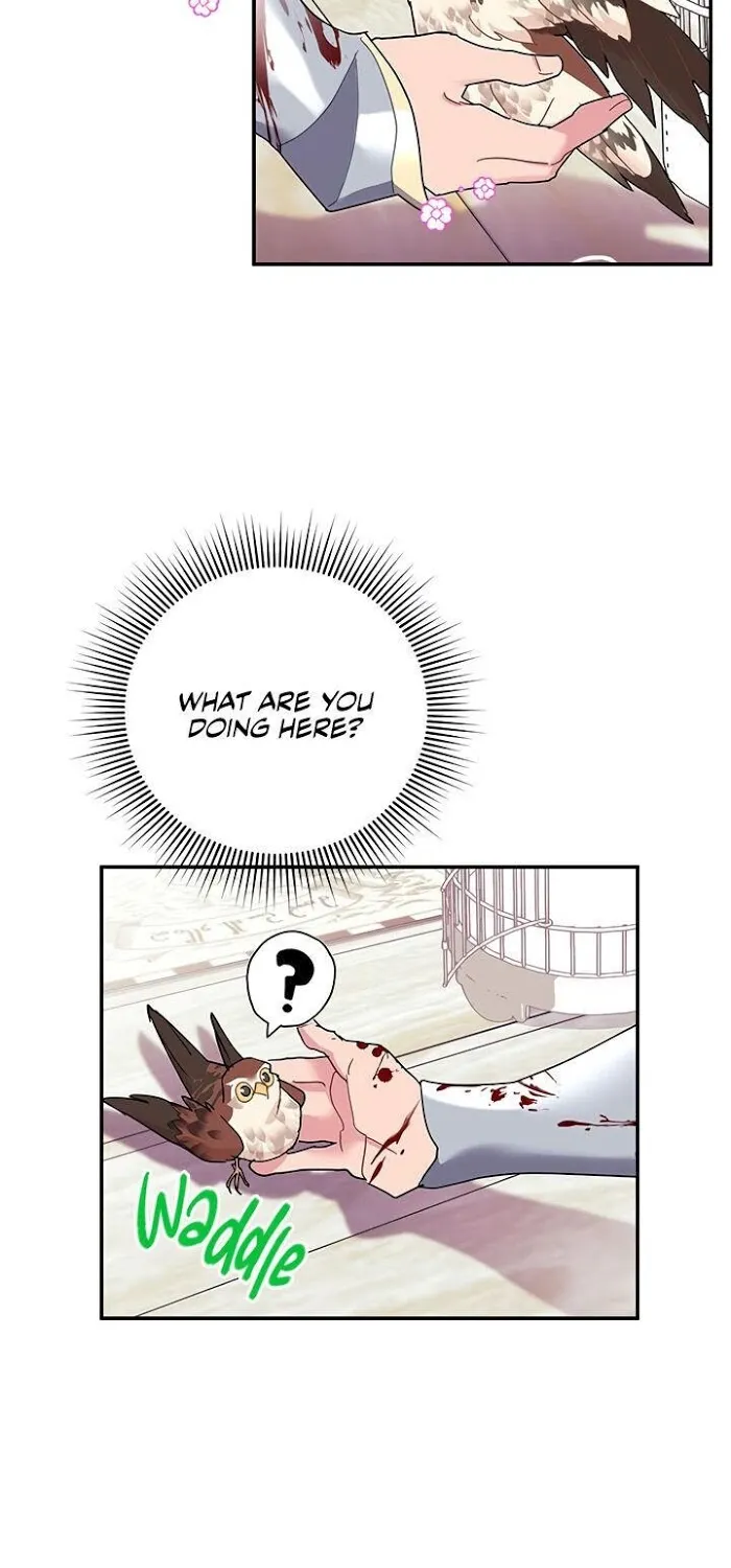 Read CARRIER FALCON PRINCESS chapter 22 image 29 on Lezhin