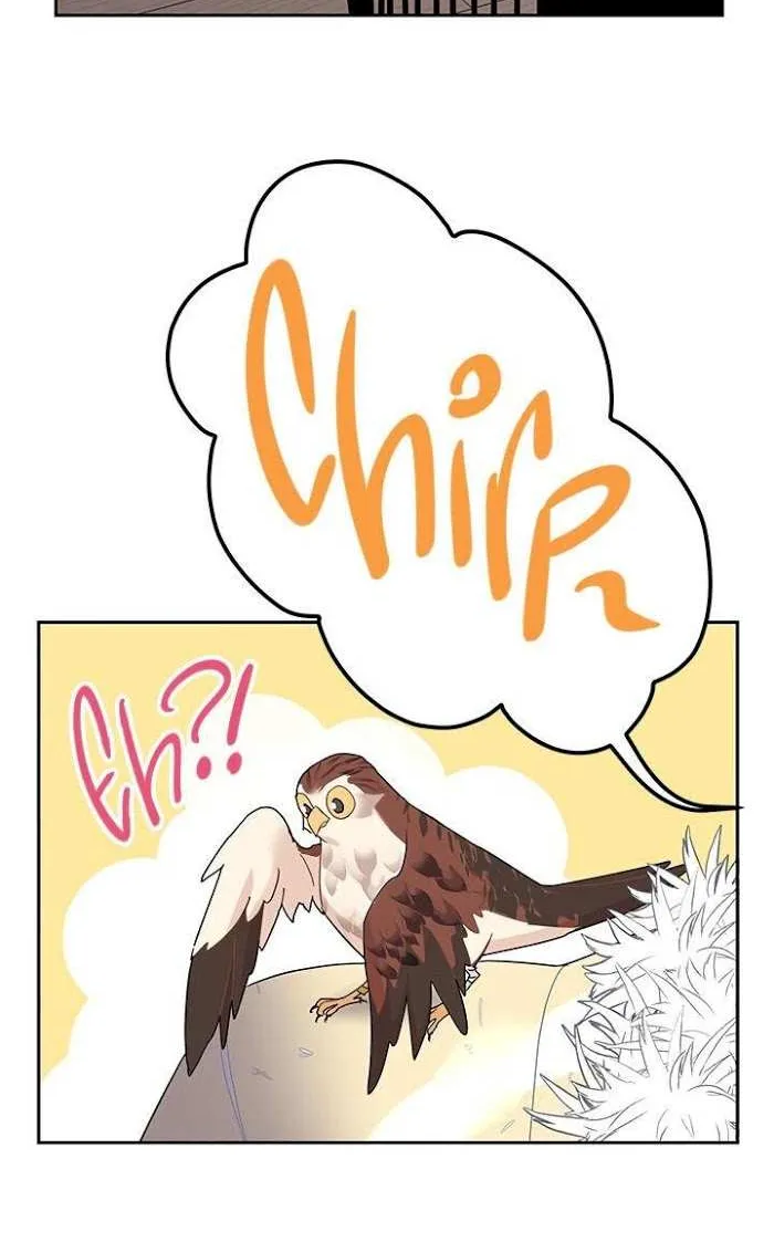 Read CARRIER FALCON PRINCESS chapter 22 image 64 on Lezhin