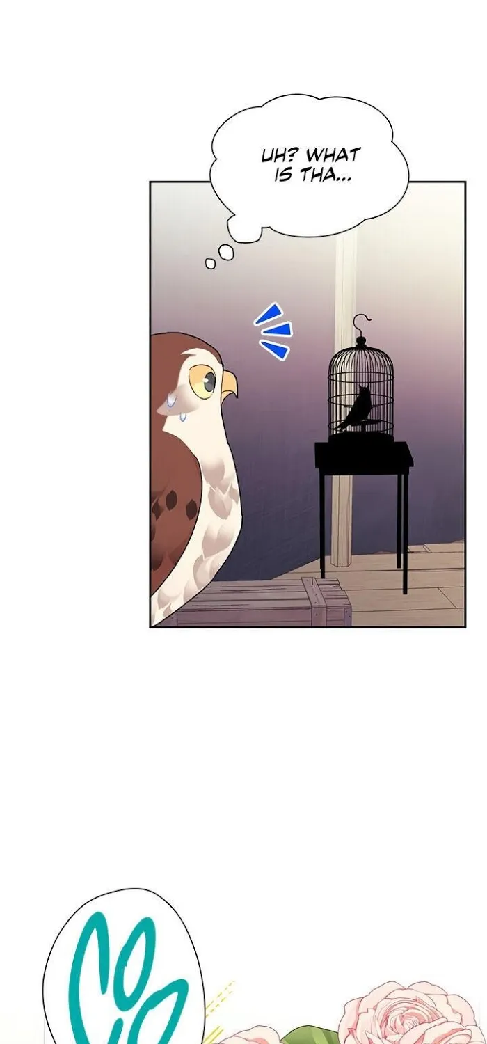 Read CARRIER FALCON PRINCESS chapter 22 image 65 on Lezhin