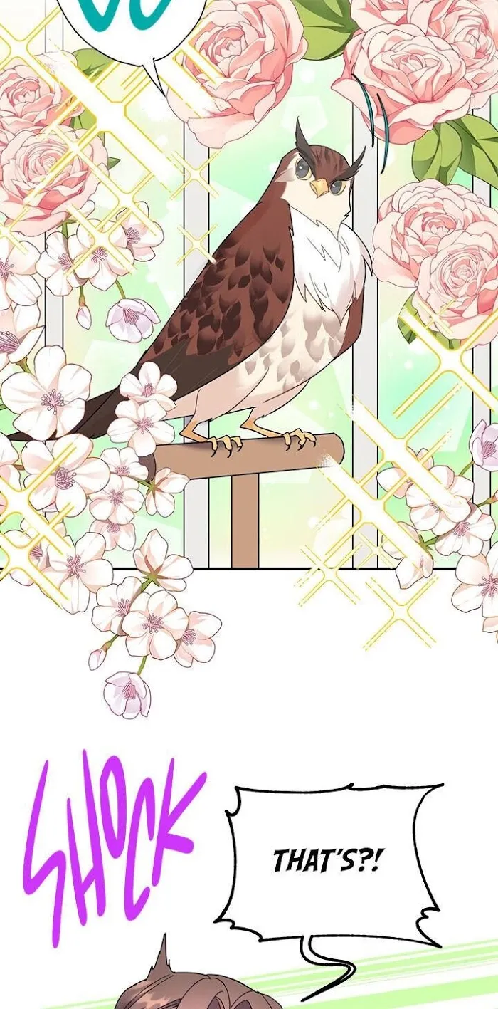 Read CARRIER FALCON PRINCESS chapter 22 image 66 on Lezhin