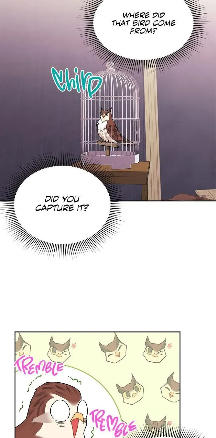 Read CARRIER FALCON PRINCESS chapter 23 image 1 on Lezhin