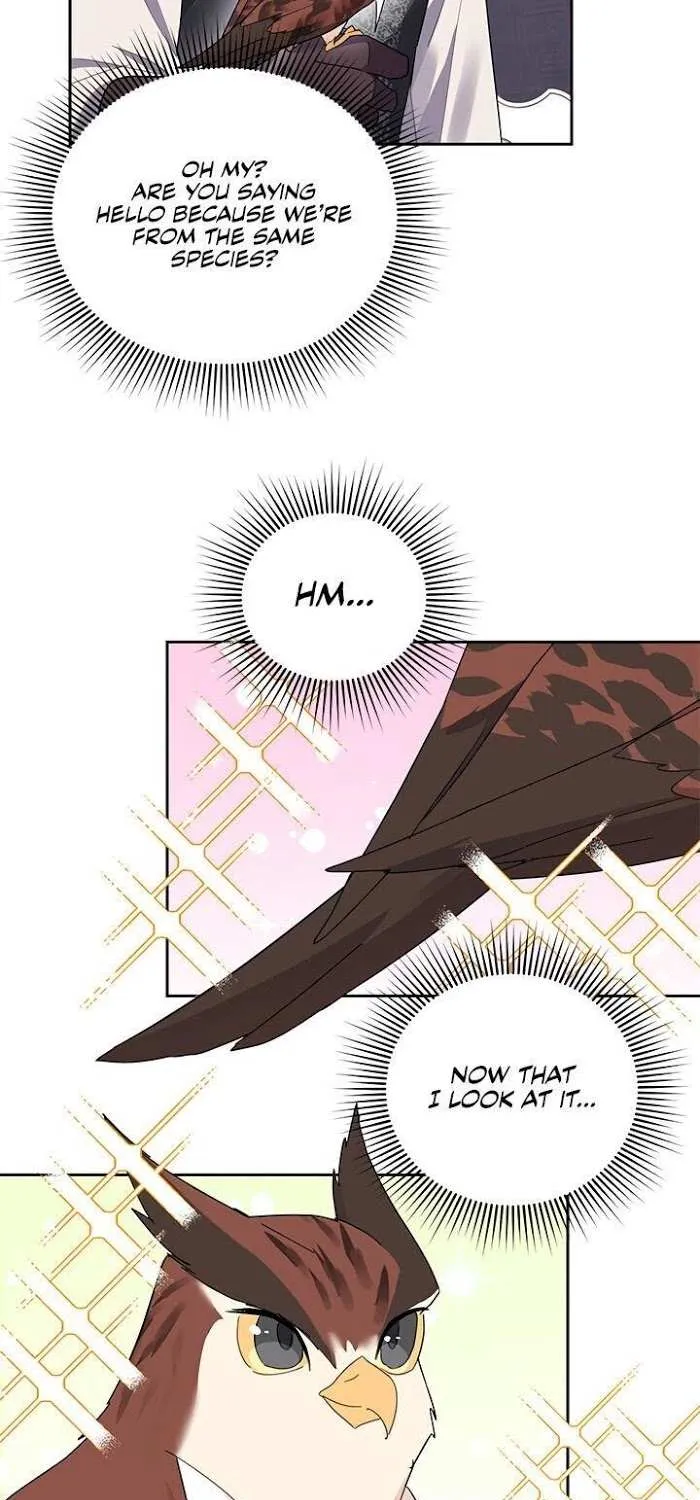 Read CARRIER FALCON PRINCESS chapter 23 image 16 on Lezhin