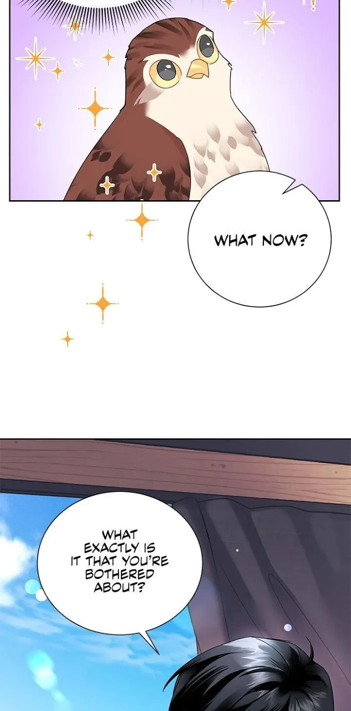 Read CARRIER FALCON PRINCESS chapter 23 image 23 on Lezhin