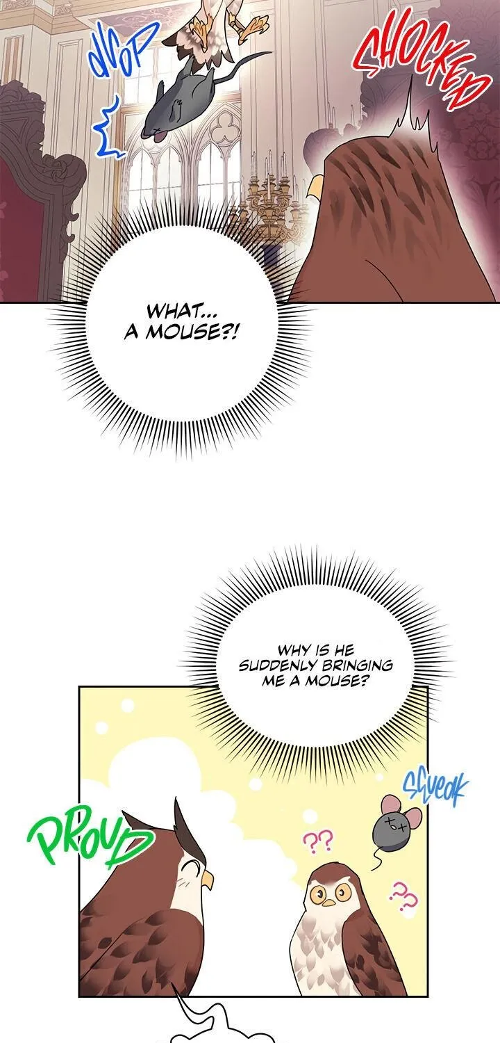 Read CARRIER FALCON PRINCESS chapter 24 image 46 on Lezhin