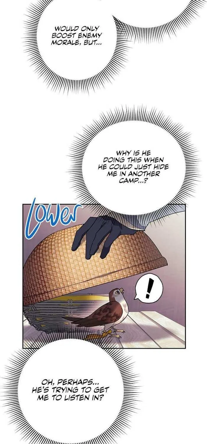 Read CARRIER FALCON PRINCESS chapter 25 image 26 on Lezhin