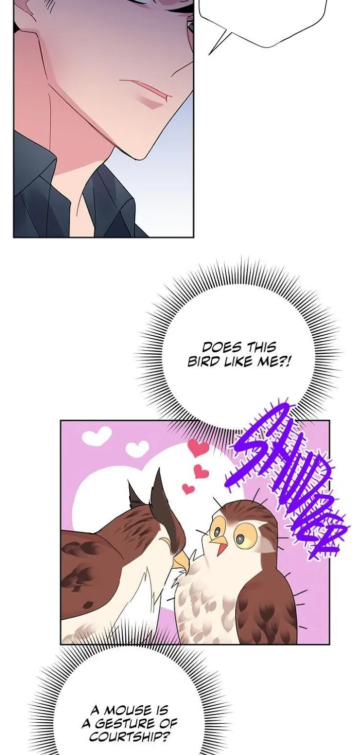 Read CARRIER FALCON PRINCESS chapter 25 image 3 on Lezhin