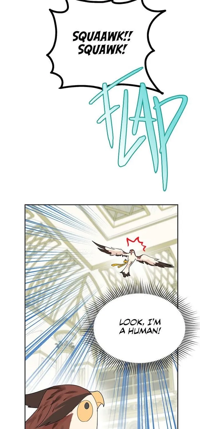 Read CARRIER FALCON PRINCESS chapter 25 image 5 on Lezhin