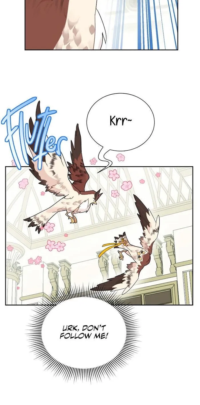 Read CARRIER FALCON PRINCESS chapter 25 image 6 on Lezhin
