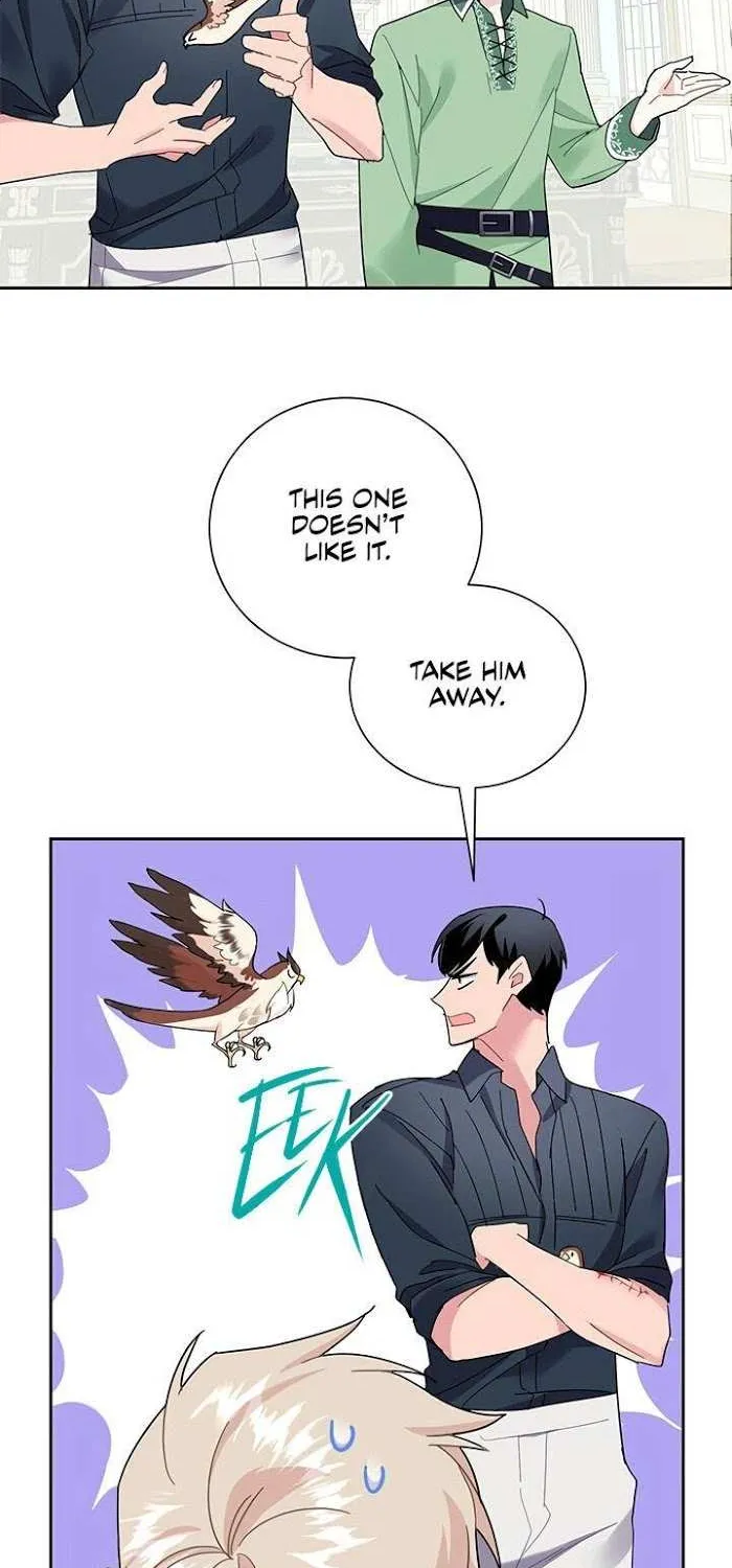 Read CARRIER FALCON PRINCESS chapter 25 image 8 on Lezhin