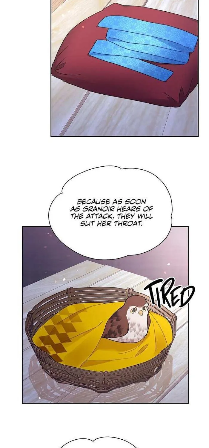 Read CARRIER FALCON PRINCESS chapter 28 image 40 on Lezhin