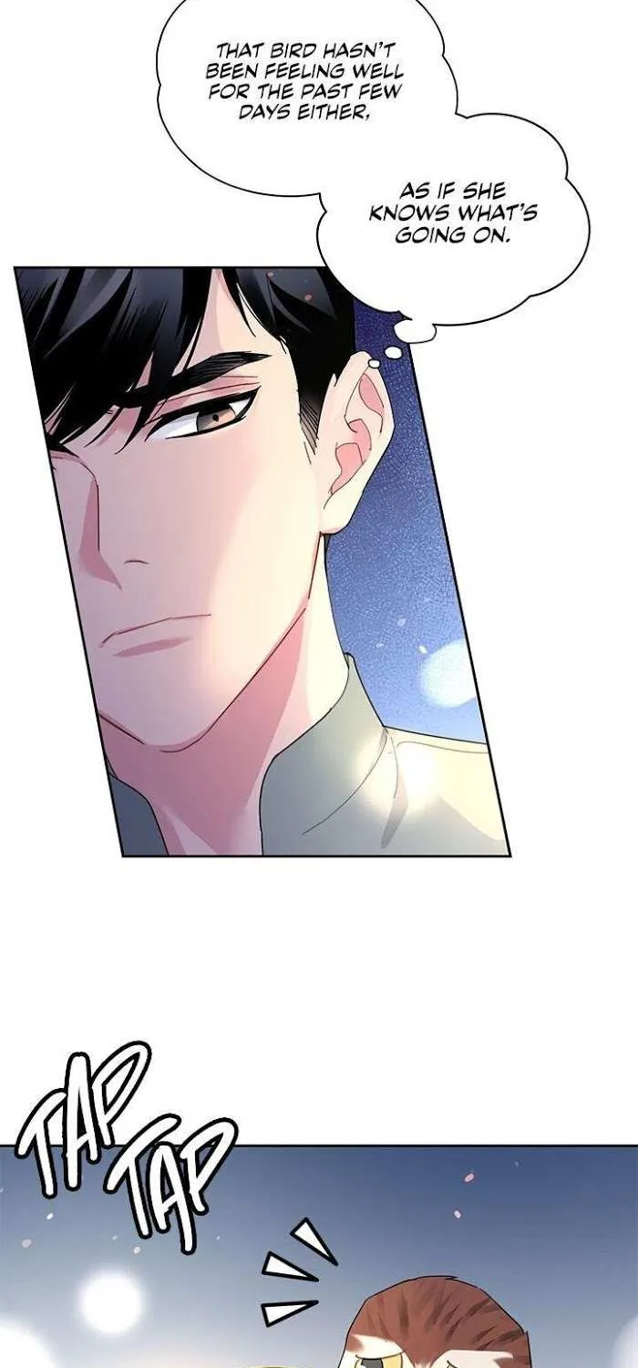 Read CARRIER FALCON PRINCESS chapter 28 image 41 on Lezhin