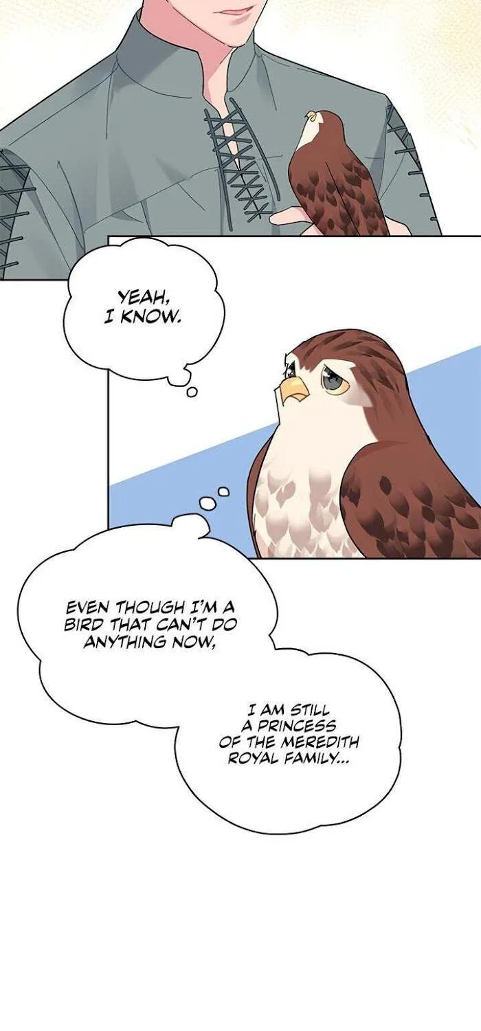 Read CARRIER FALCON PRINCESS chapter 28 image 46 on Lezhin