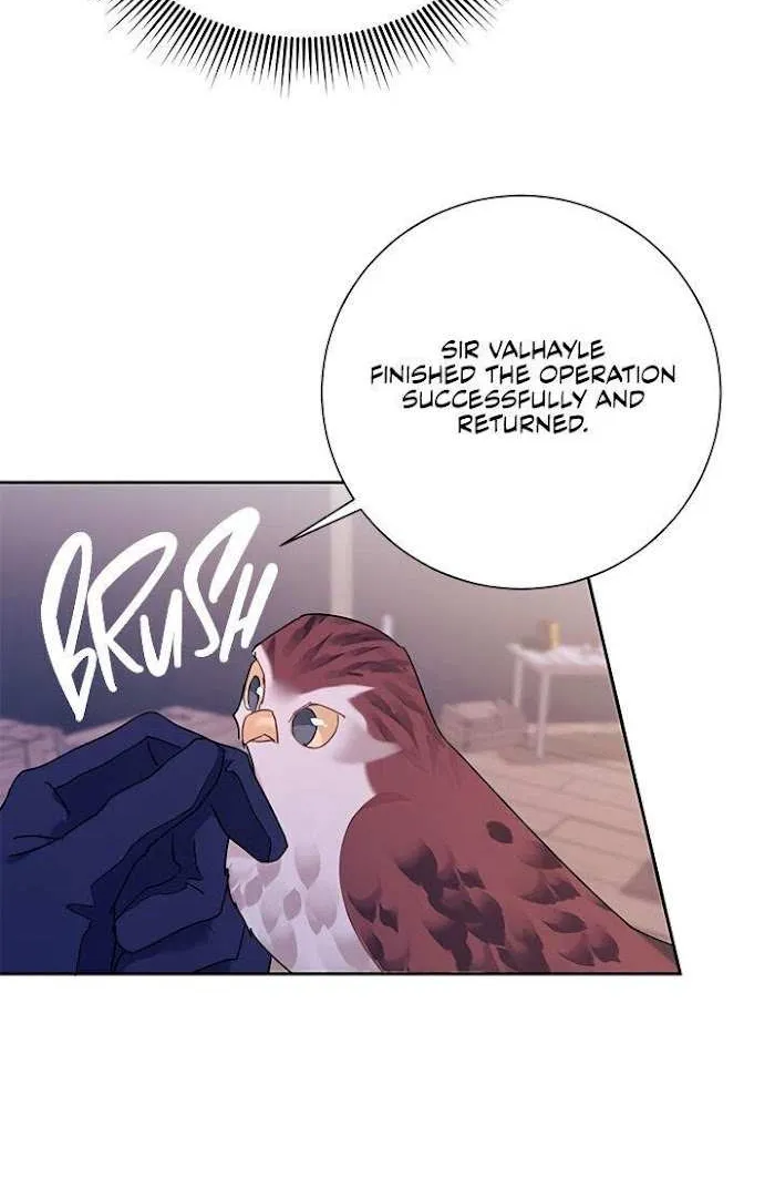 Read CARRIER FALCON PRINCESS chapter 33 image 48 on Lezhin