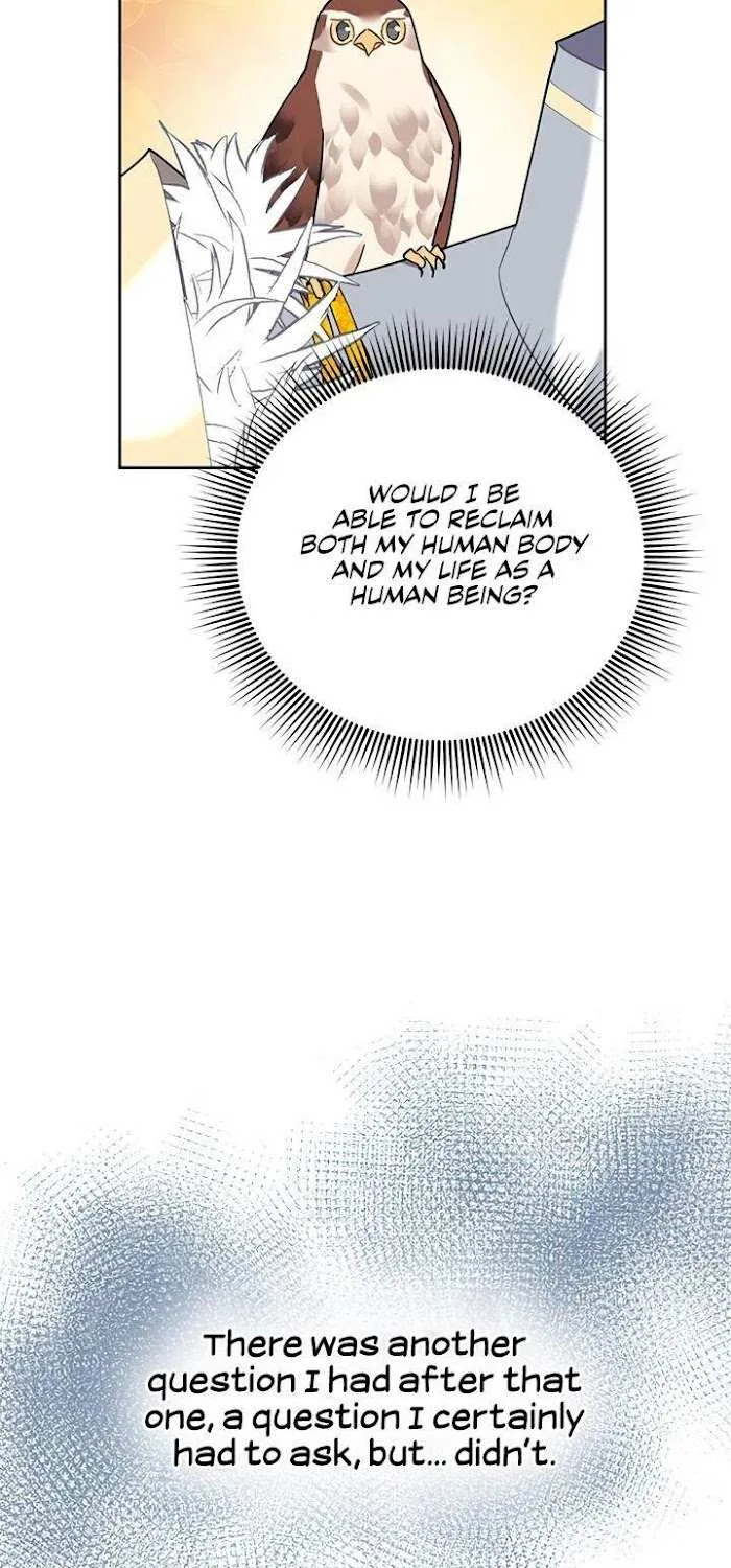 Read CARRIER FALCON PRINCESS chapter 34 image 56 on Lezhin
