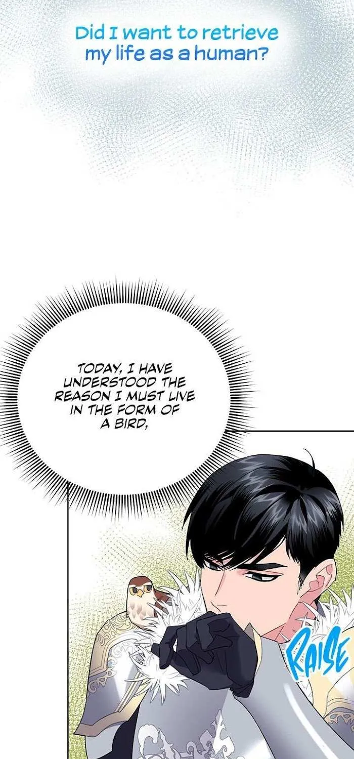 Read CARRIER FALCON PRINCESS chapter 34 image 58 on Lezhin
