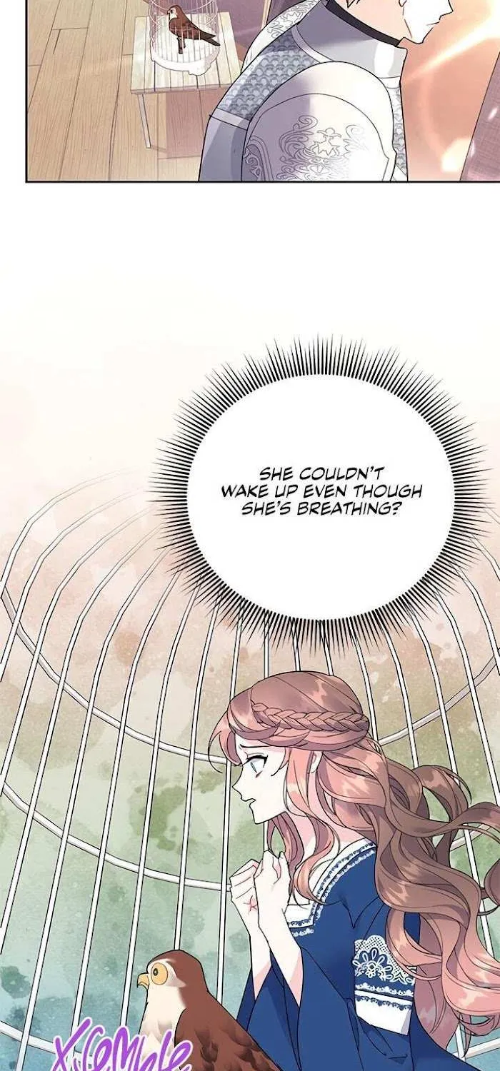 Read CARRIER FALCON PRINCESS chapter 35 image 32 on Lezhin