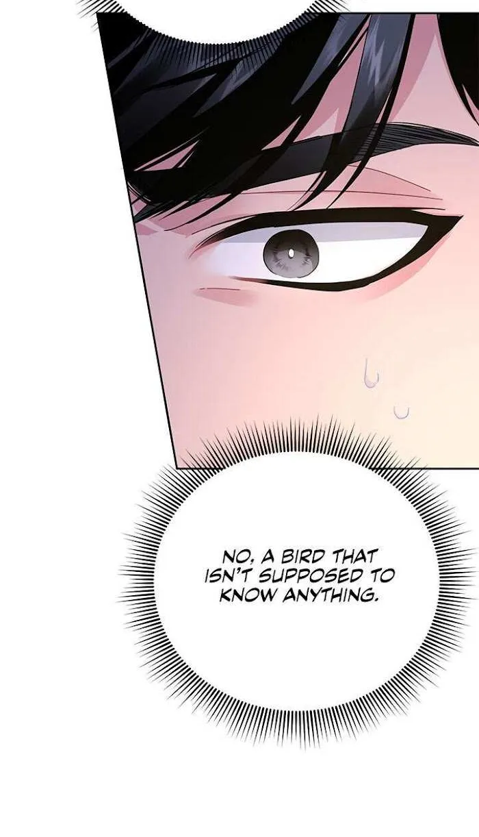 Read CARRIER FALCON PRINCESS chapter 37 image 10 on Lezhin