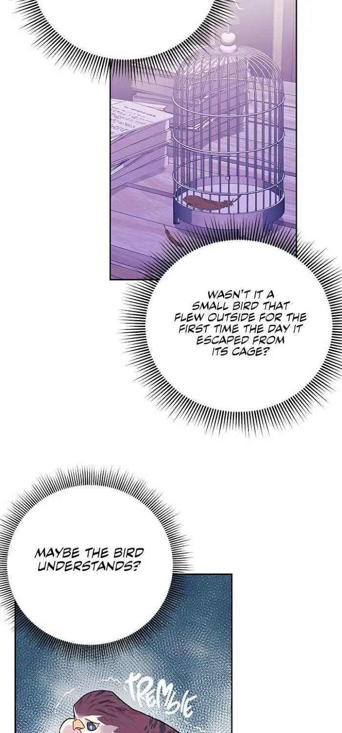 Read CARRIER FALCON PRINCESS chapter 37 image 34 on Lezhin