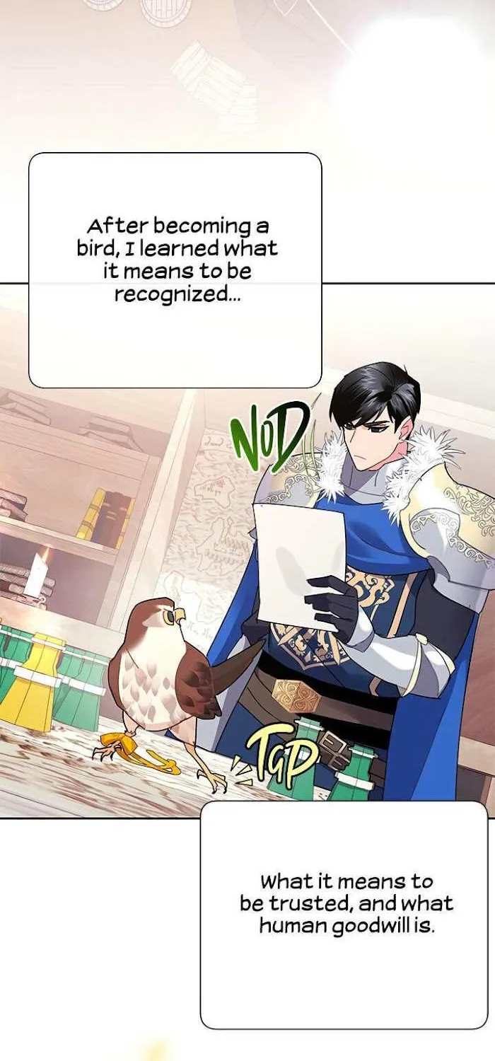 Read CARRIER FALCON PRINCESS chapter 37 image 53 on Lezhin