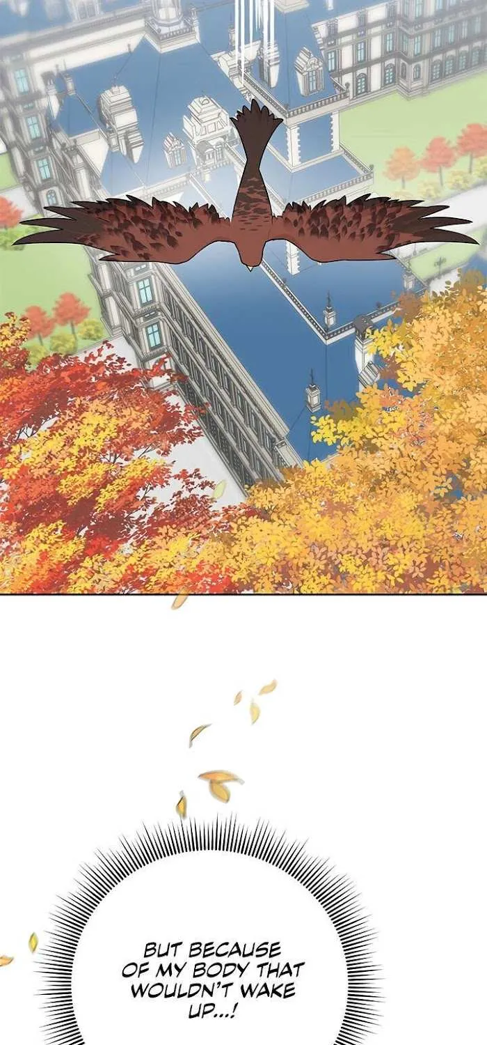 Read CARRIER FALCON PRINCESS chapter 37 image 58 on Lezhin