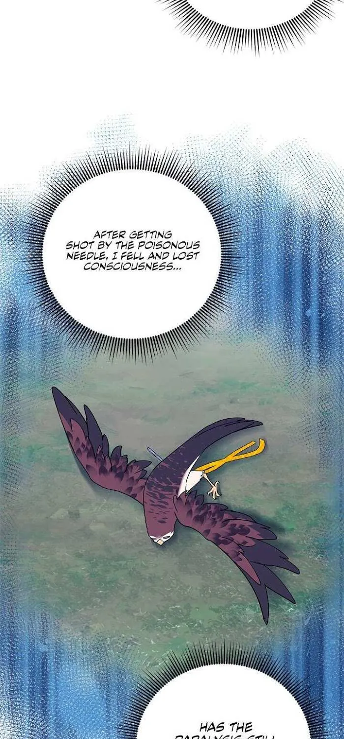 Read CARRIER FALCON PRINCESS chapter 39 image 14 on Lezhin