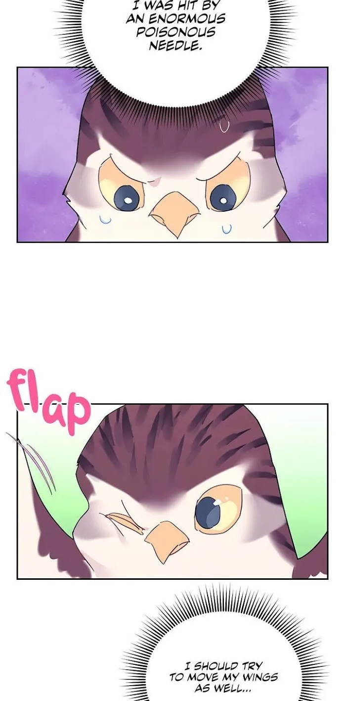 Read CARRIER FALCON PRINCESS chapter 39 image 19 on Lezhin