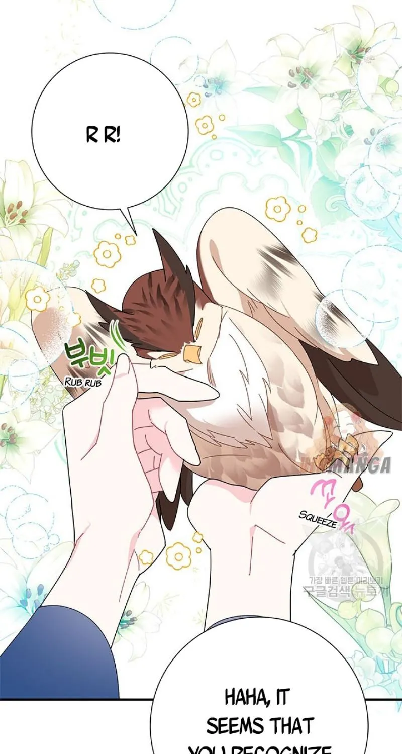 Read CARRIER FALCON PRINCESS chapter 45 image 29 on Lezhin