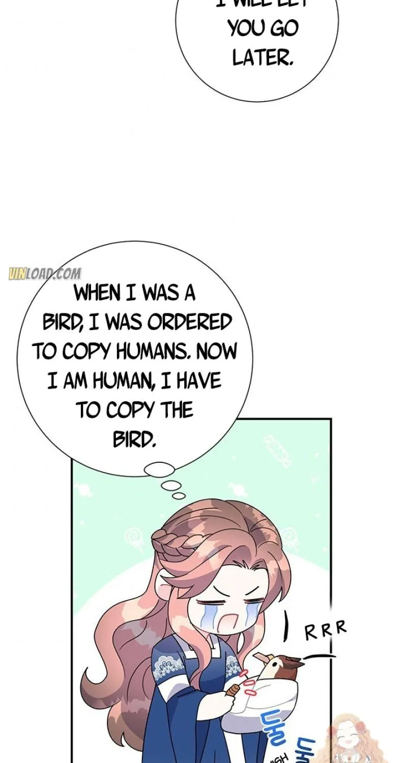 Read CARRIER FALCON PRINCESS chapter 45 image 31 on Lezhin