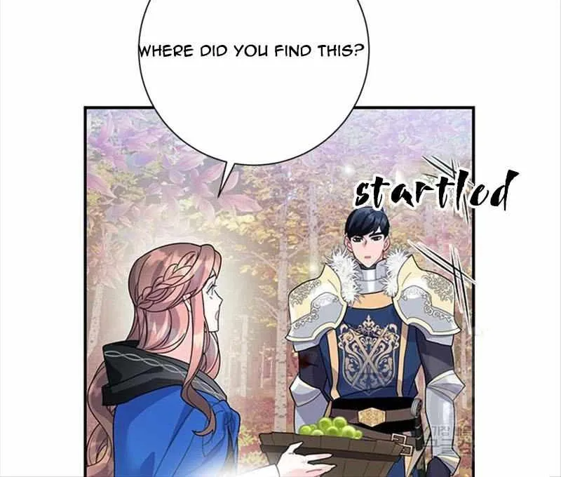 Read CARRIER FALCON PRINCESS chapter 48 image 47 on Lezhin