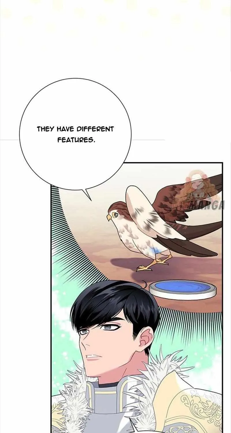 Read CARRIER FALCON PRINCESS chapter 49 image 4 on Lezhin