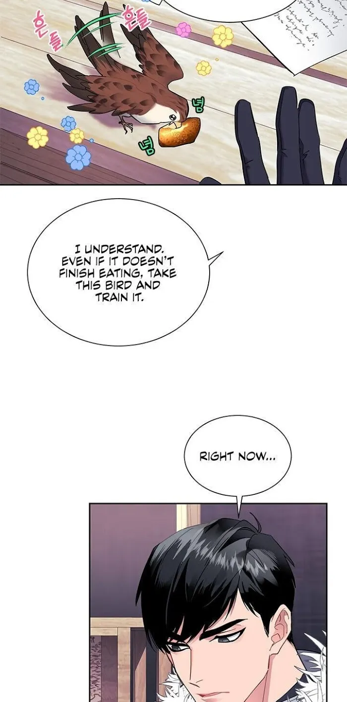 Read CARRIER FALCON PRINCESS chapter 5 image 13 on Lezhin