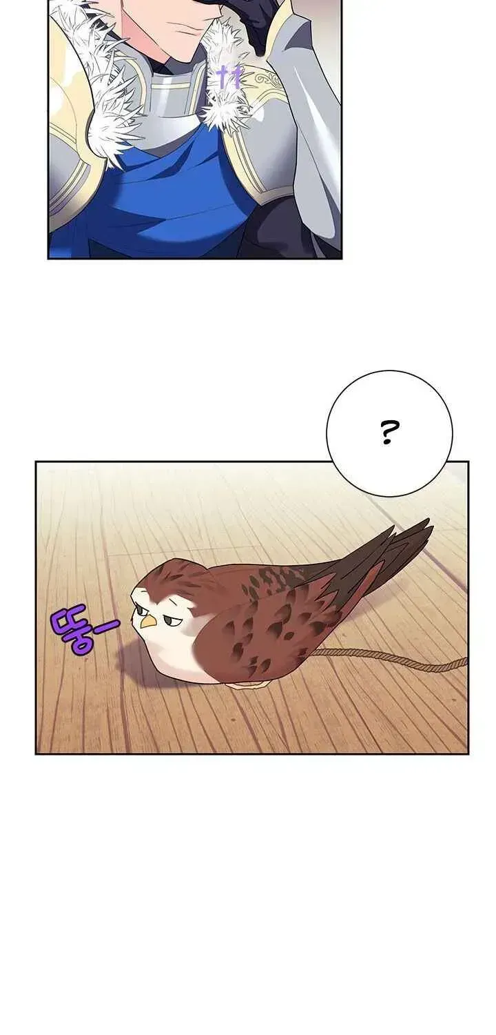 Read CARRIER FALCON PRINCESS chapter 6.2 image 16 on Lezhin