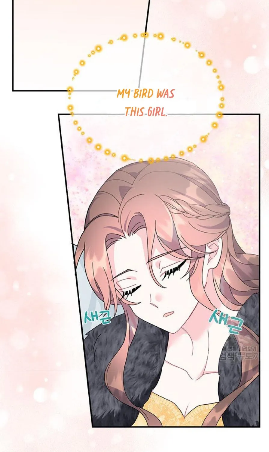 Read CARRIER FALCON PRINCESS chapter 62 image 11 on Lezhin