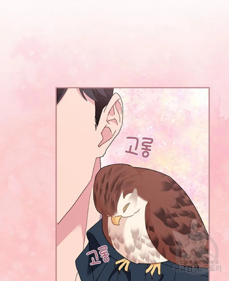 Read CARRIER FALCON PRINCESS chapter 62 image 9 on Lezhin