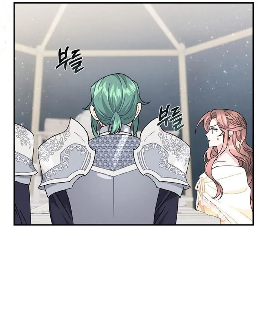 Read CARRIER FALCON PRINCESS chapter 63 image 3 on Lezhin