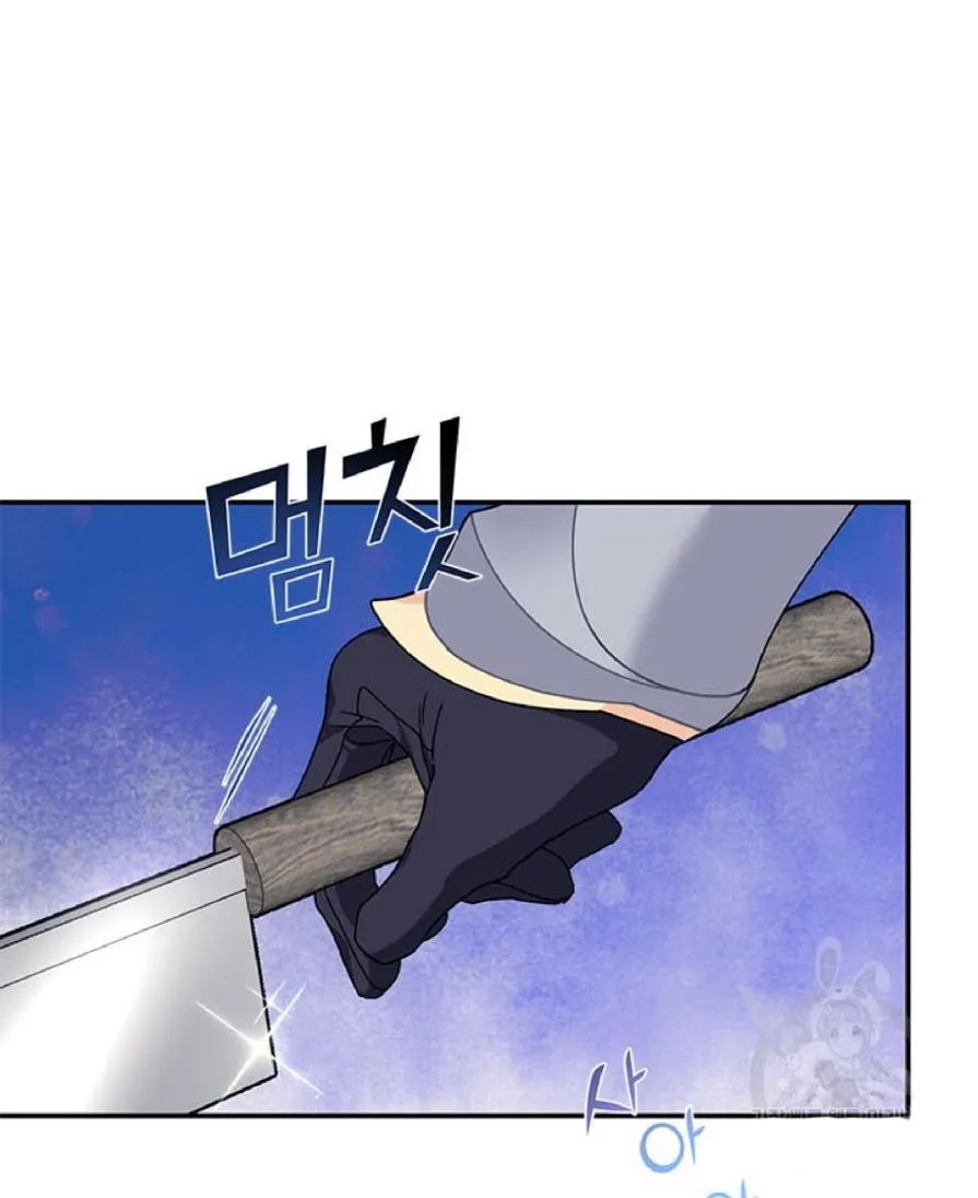 Read CARRIER FALCON PRINCESS chapter 63 image 33 on Lezhin