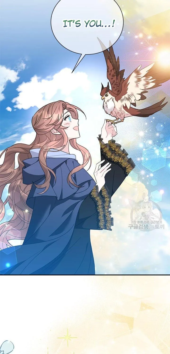 Read CARRIER FALCON PRINCESS chapter 71 image 69 on Lezhin