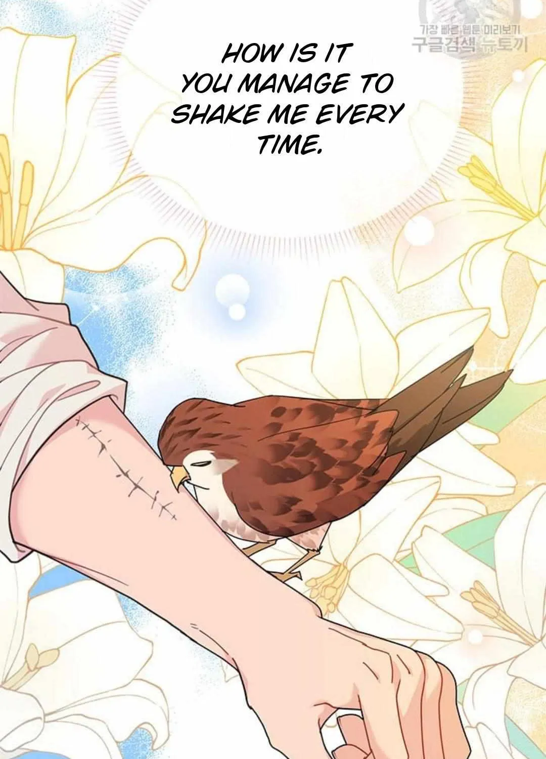 Read CARRIER FALCON PRINCESS chapter 75 image 84 on Lezhin