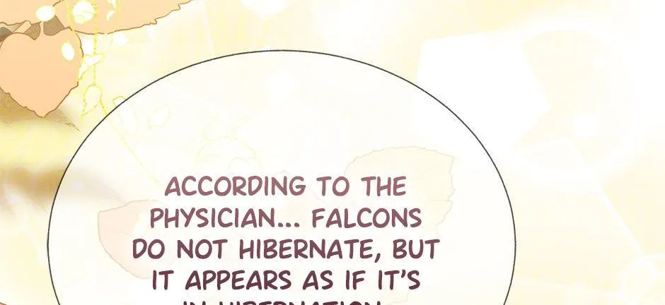 Read CARRIER FALCON PRINCESS chapter 97 image 47 on Lezhin