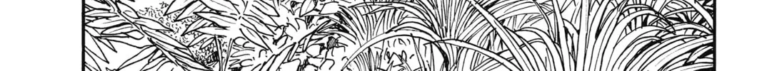 Read Case Closed chapter 1.6 image 35 on Lezhin
