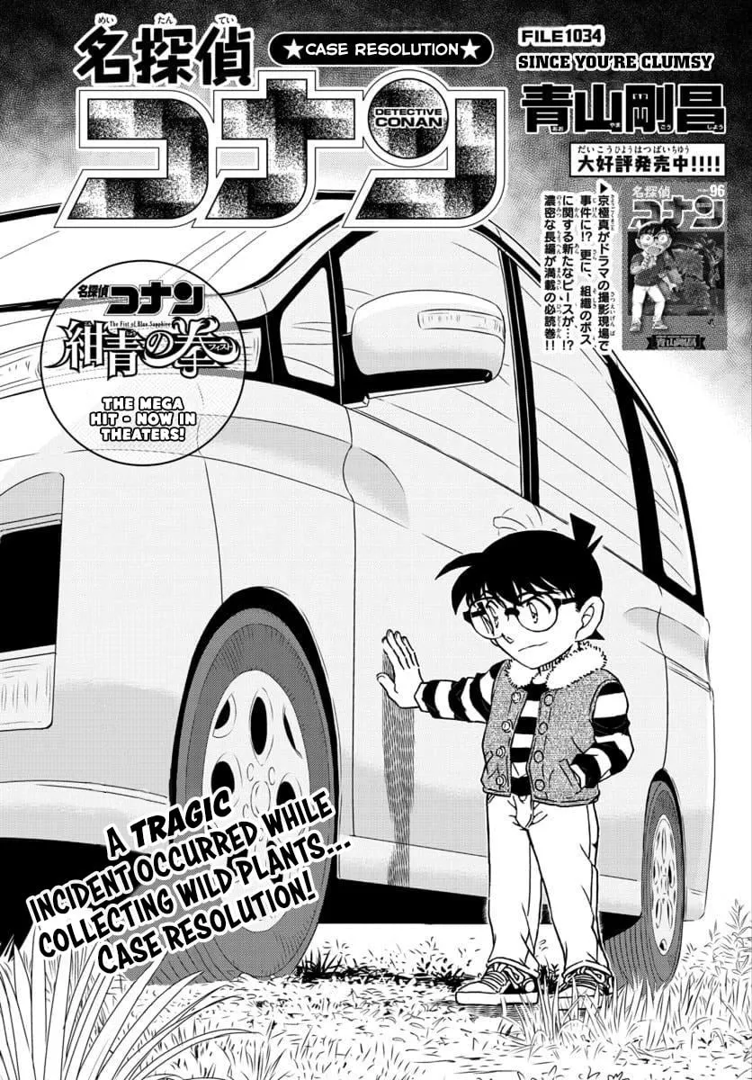 Read Case Closed chapter 1034 image 0 on Lezhin