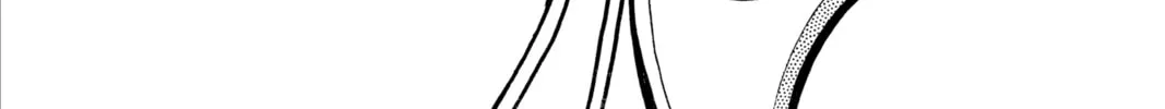 Read Case Closed chapter 114 image 1 on Lezhin