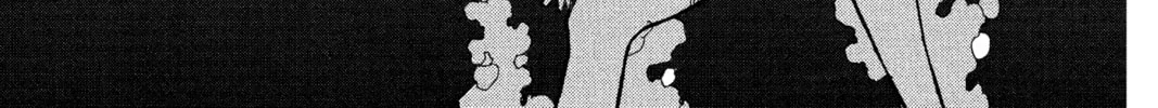 Read Case Closed chapter 164 image 1 on Lezhin