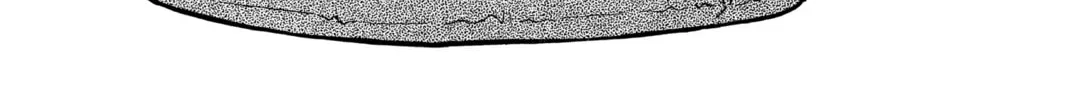 Read Case Closed chapter 182 image 1 on Lezhin