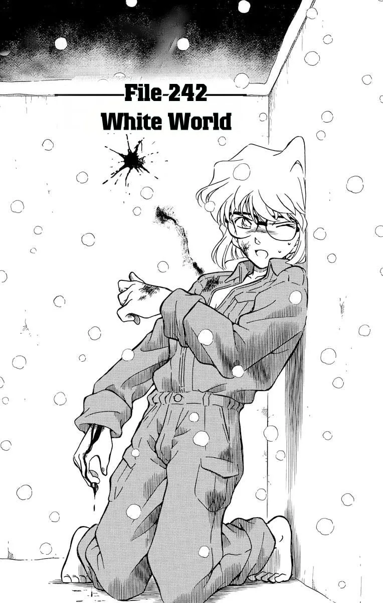 Read Case Closed chapter 242 image 2 on Lezhin